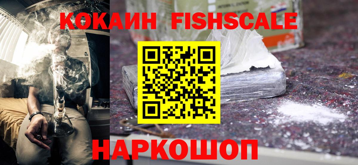 Кокаин FishScale  Кокаин FishScale  Новодвинск  Вход с VPN 