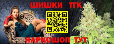 тгк Славгород