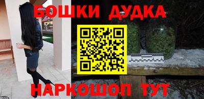 тгк Славгород