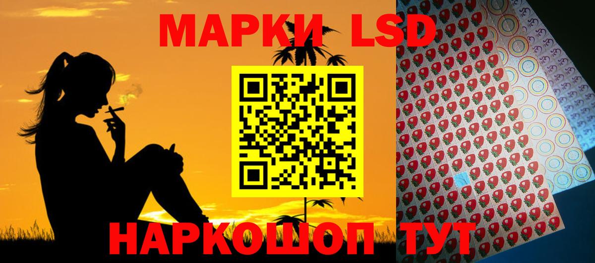Новодвинск  Лсд 25 экстази кислота  Лсд 25 экстази ecstasy  Вход с VPN 