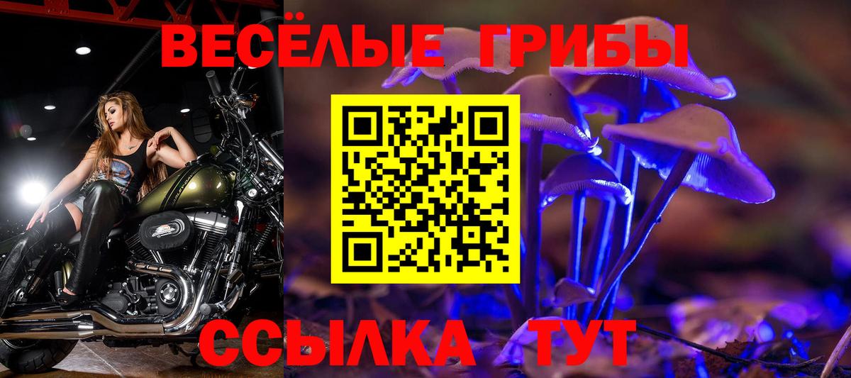 Новодвинск  Псилоцибиновые грибы мицелий  Вход с VPN 